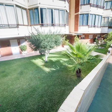 Moonkey - Mandarinas * Benidorm